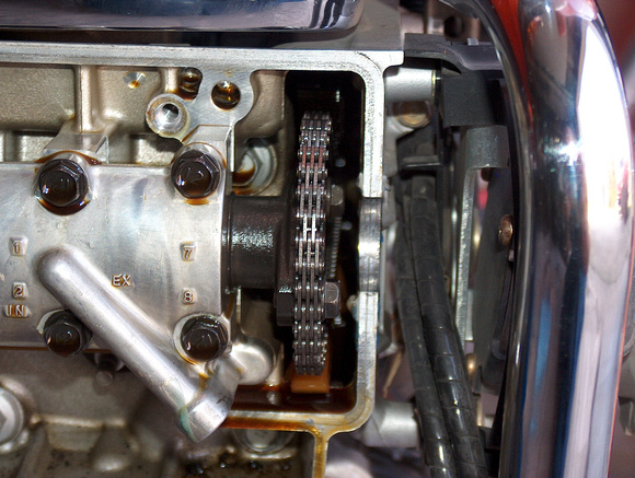 Close Up of Timing Chain